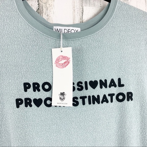 Wildfox Professional Procrastinator Pullover Small , Large - Picture 5 of 6
